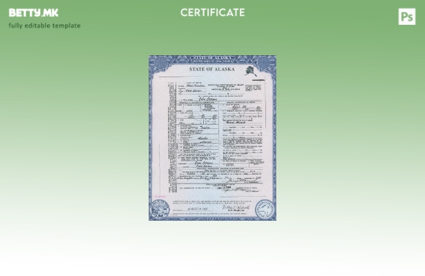 Модерен стил шаблон за уверение за смрт од државата Алјаска во САД во шаблон за 